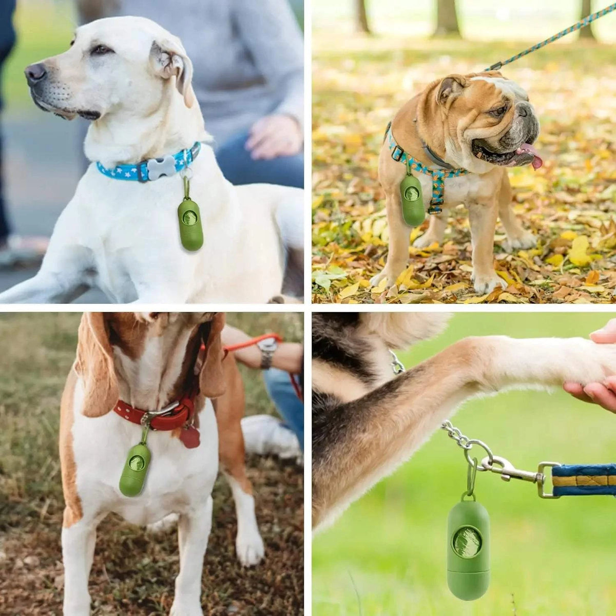 Dog bag 26 rolls, 390 bags, with 1 dispenser, dog waste bag, biodegradable, pet bag, dog poop bag, eco-friendly poops bag, green, for 6 months use, 2 bag per day.