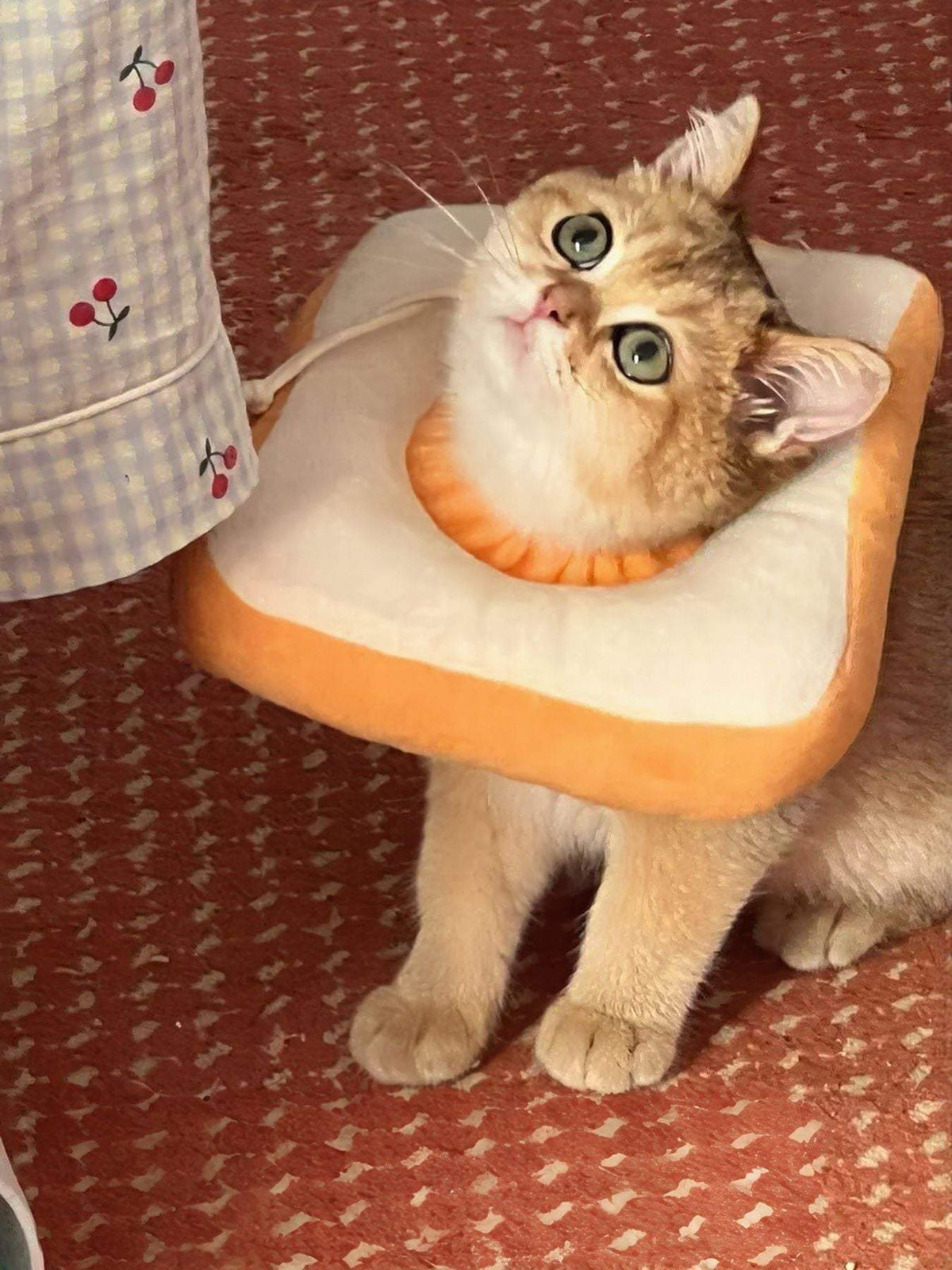Avocado and toast shaped pet costume collar by SweetPaw
