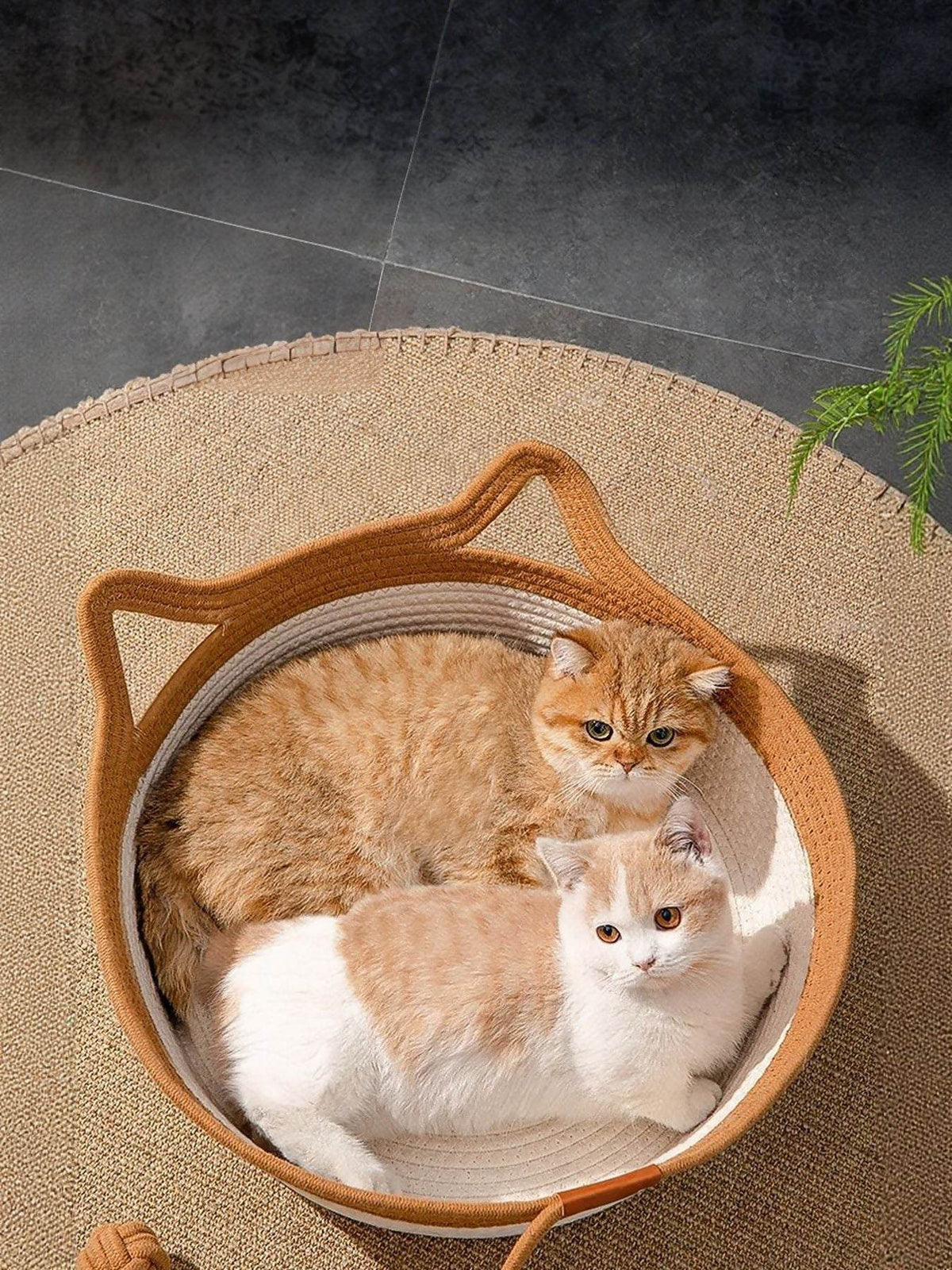 Handwoven cat ear pet nest bed cozy and textured