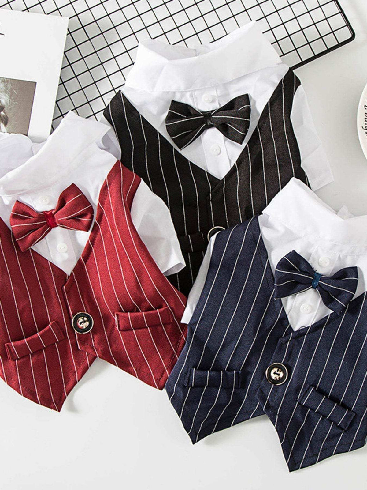 small dog wearing a formal striped bow tie blazer outfit