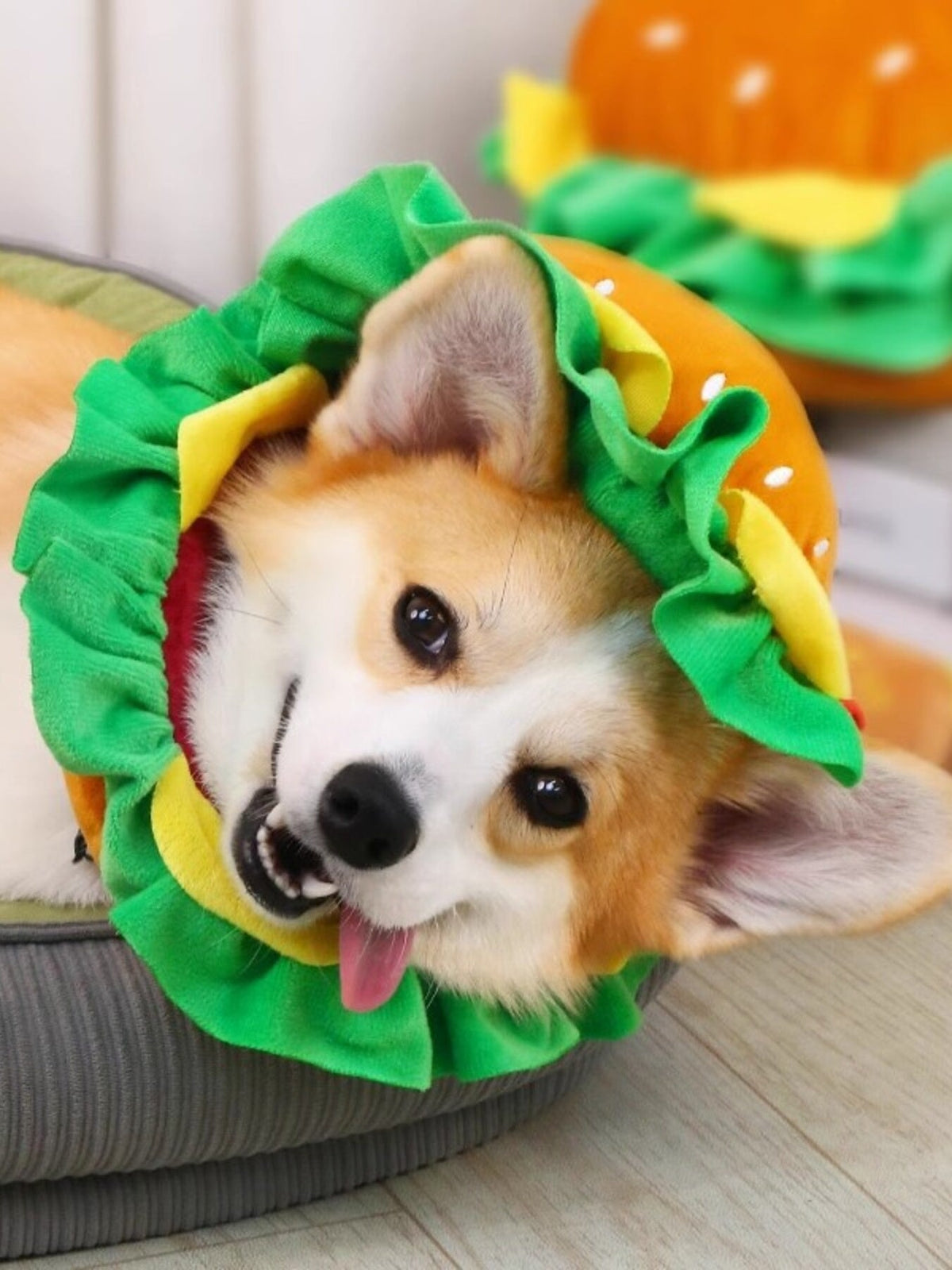 pet wearing hamburger style headwear costume Hamburger Pet Costume