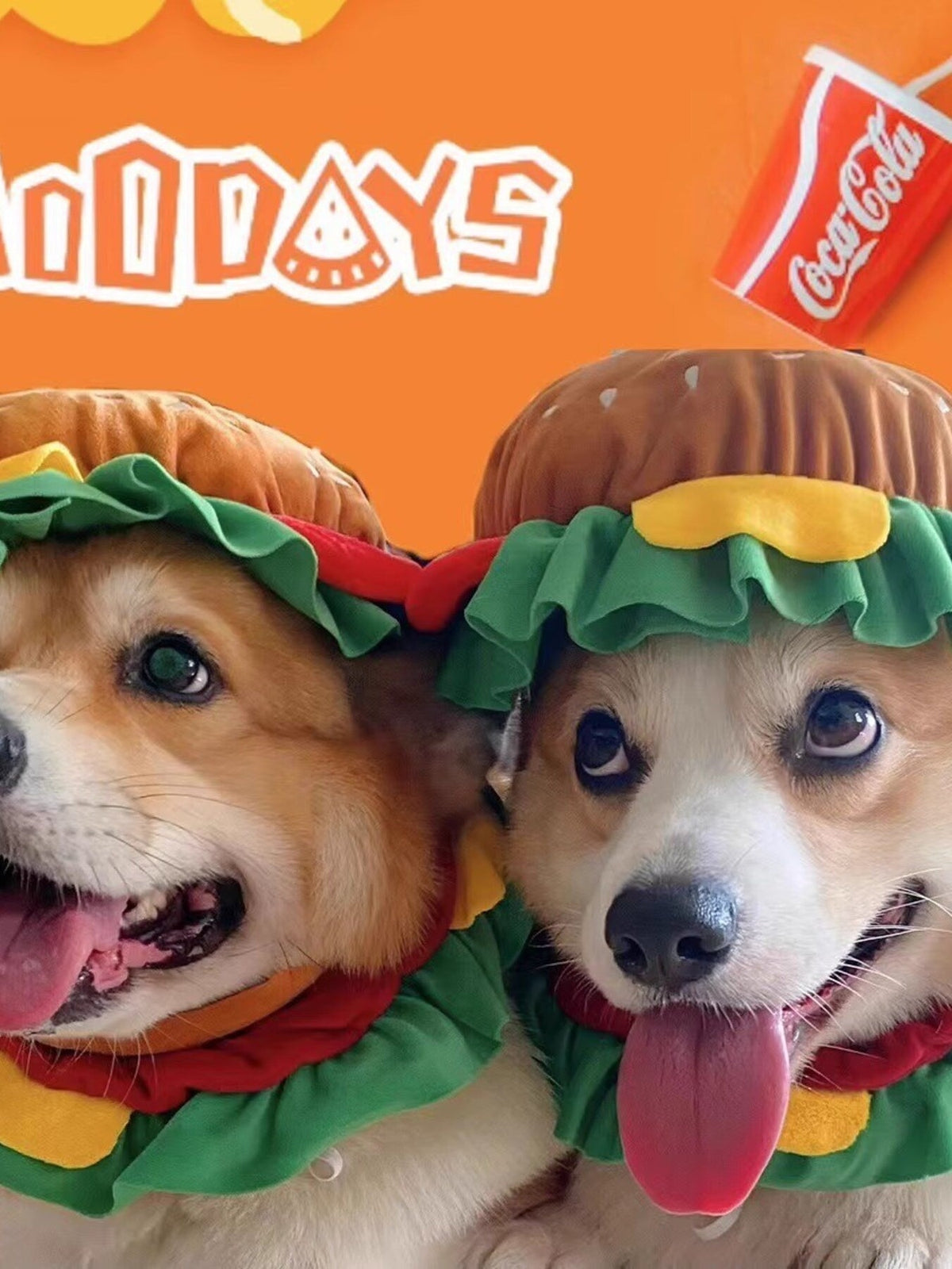 Pet wearing hamburger style headwear costume Hamburger Pet Costume