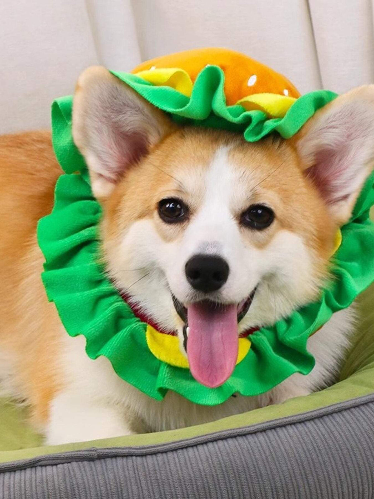 Hamburger style pet headwear silly photo-ready costume Hamburger Pet Costume
