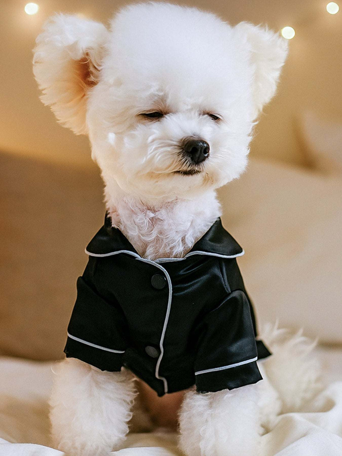 pet wearing soft satin pajamas with contrast piping