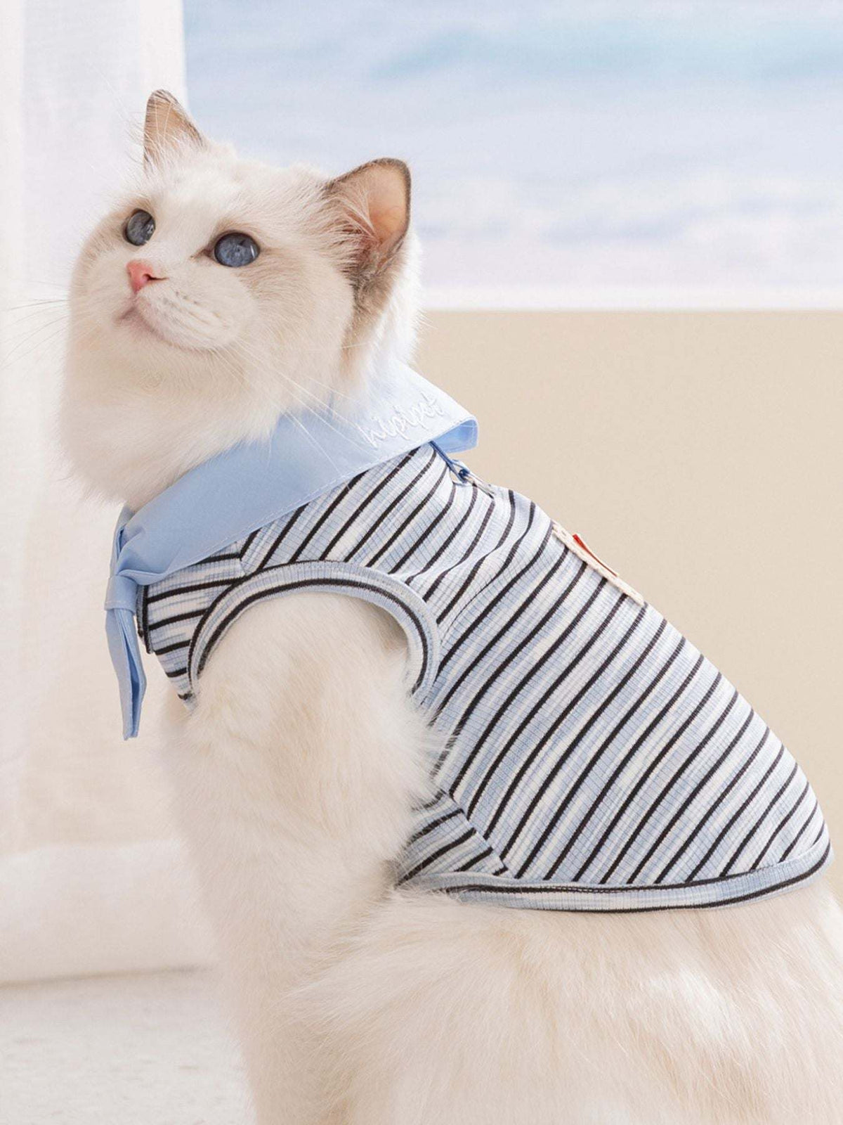 striped pet top with tied bow detail