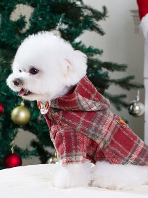 Pet Clothing & Costumes