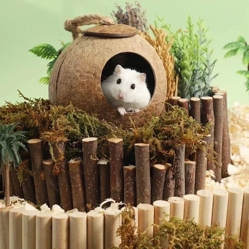 Hamster