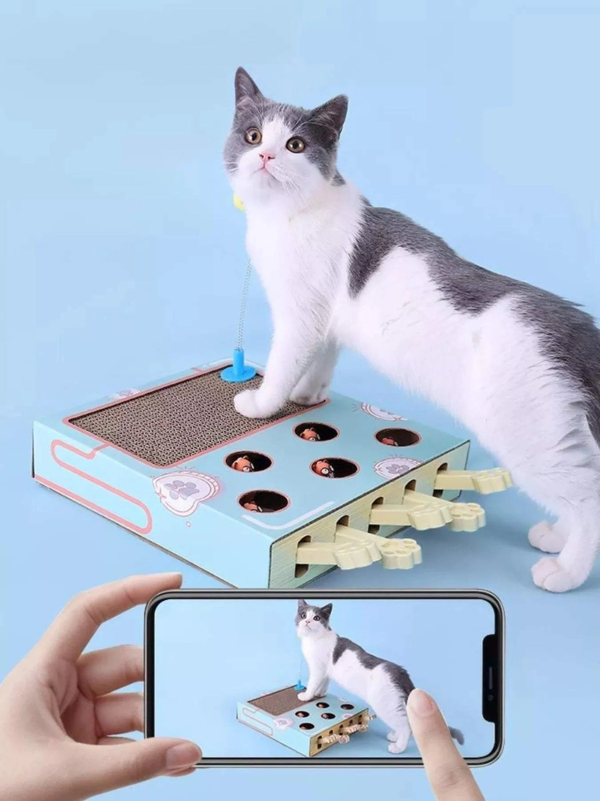 6383c684-e4a6-4bf7-84aa-18dde28e02c0-Max-Origin