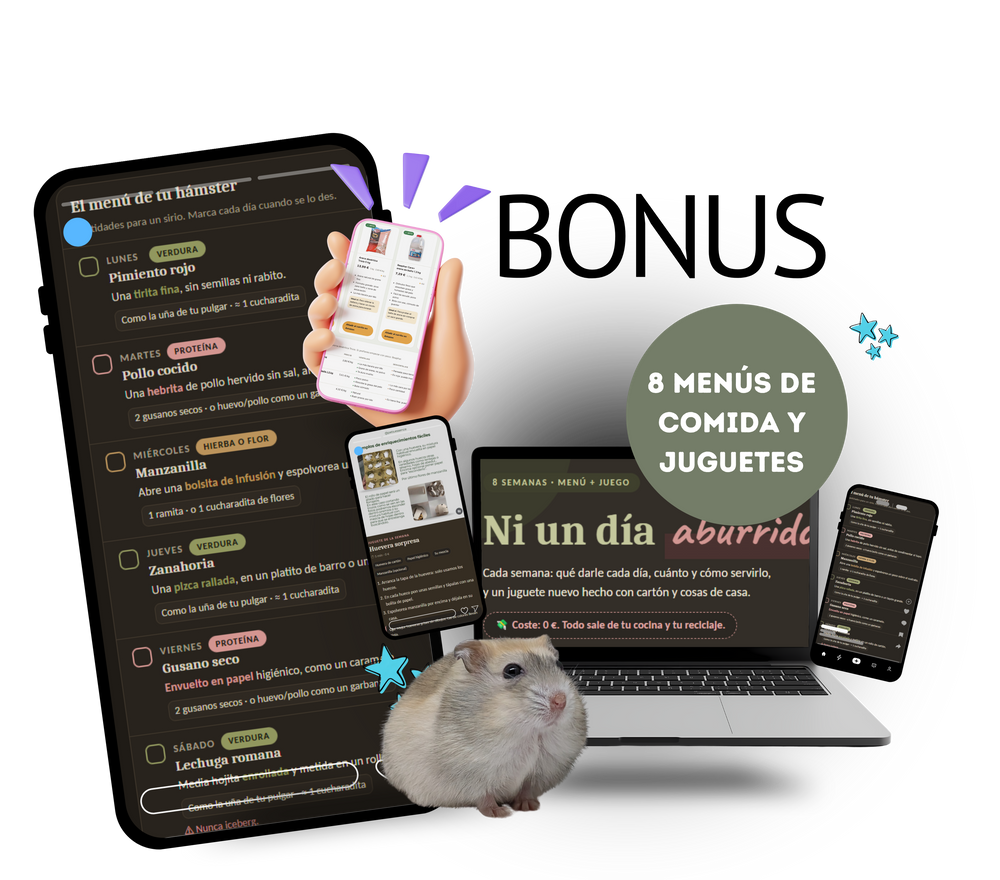 8 menús de comida y entretenimiento para tu hámster: sin gastar tiempo ni dinero