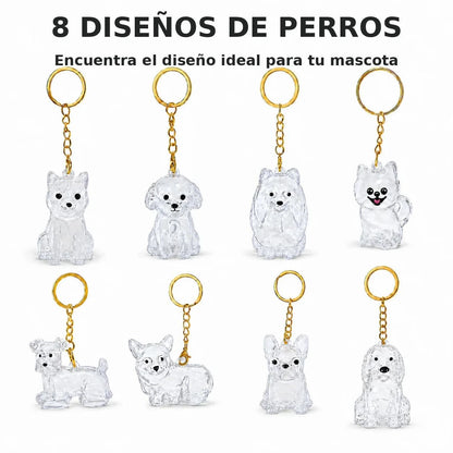 Dog Hair Keychain Pet Fur Keepsake Holder Dog Hair Storage Memorial Pendant for Dogs DIY Backpack Charm Pet Fur Souvenir Gift