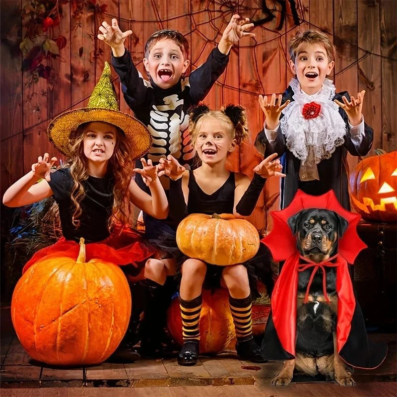 1pc Halloween Pet Cape Costume - Red &amp; Black Vampire, Adjustable Halloween outfit with Tiebacks for Dogs &amp; Cats, All Seasons