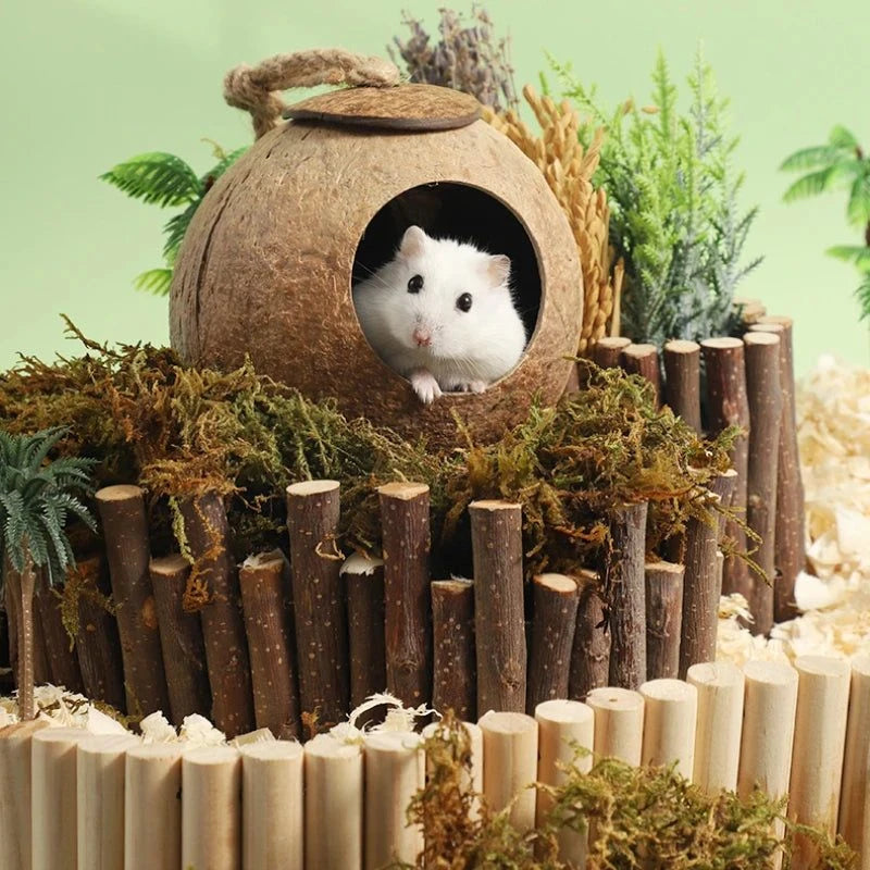 Hamster Nest Bird Nest Coconut Shell Hideout Summer Cooling Syrian Hamster Sleeping House Little Nest Toy for Fancy Mice