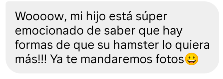 Guía completa de cuidado de hámster