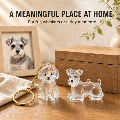 Dog Hair Keychain Pet Fur Keepsake Holder Dog Hair Storage Memorial Pendant for Dogs DIY Backpack Charm Pet Fur Souvenir Gift