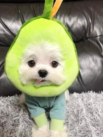 Avocado and toast shaped pet collar by SweetPaw