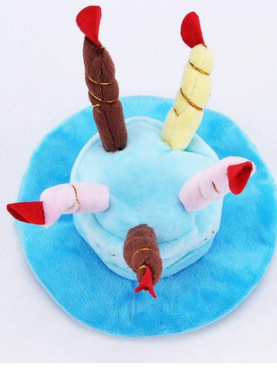 pet wearing birthday cake candle hat for fun photo prop