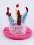 Pet wearing birthday cake candle hat for celebration photos Dog Birthday Hat