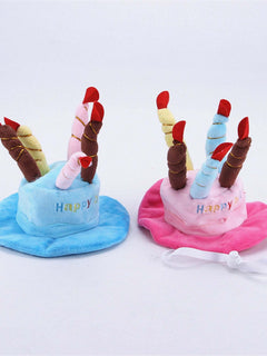 pet wearing birthday cake candle hat for celebration