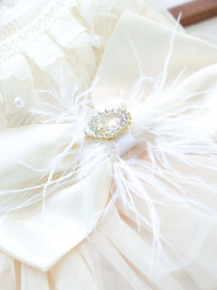 pet wearing elegant bow tulle ruffle dress