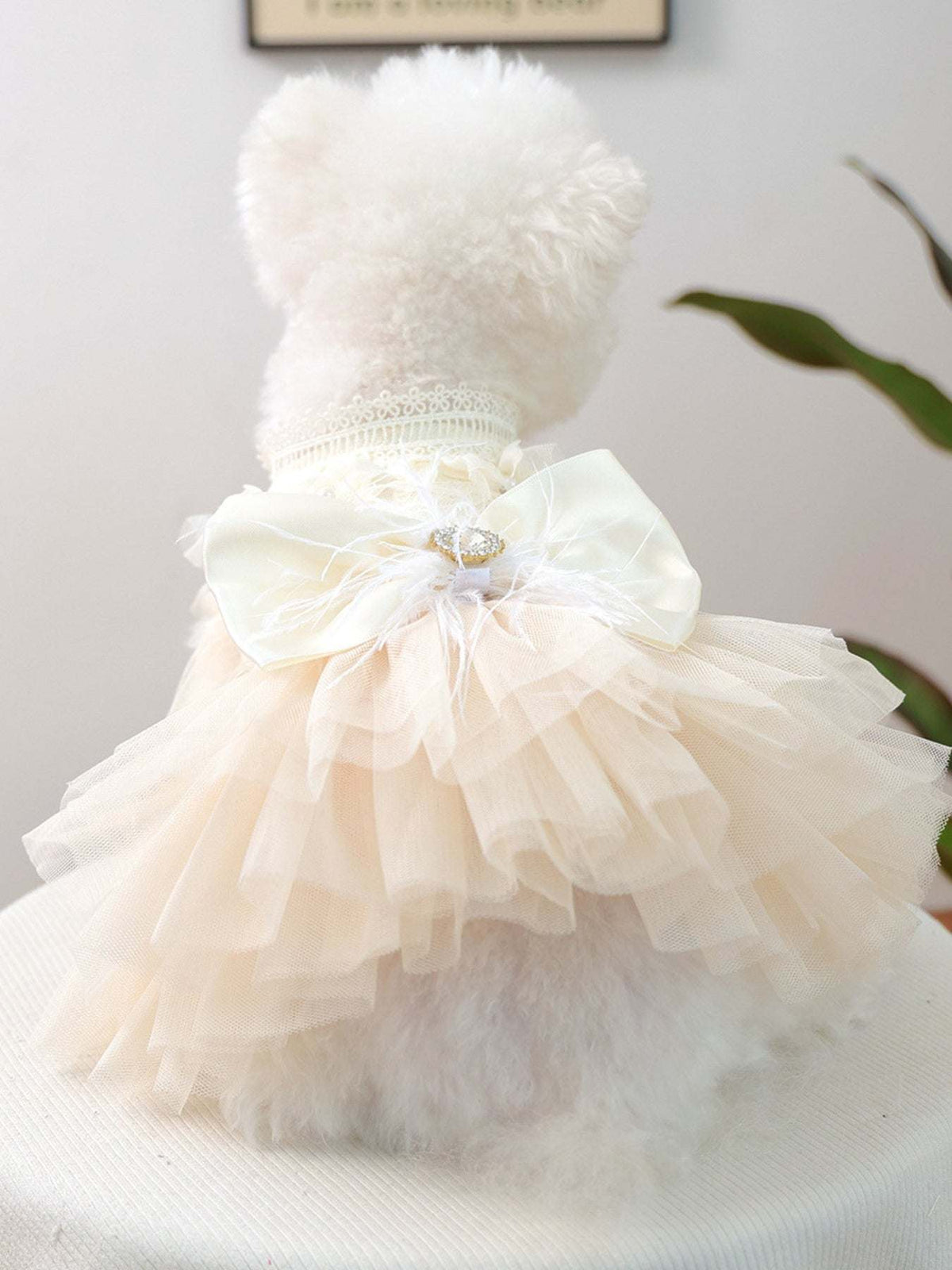 Elegant bow tulle ruffle pet dress for special  Elegant Dog Dress