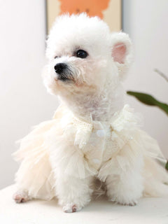 Elegant bow tulle ruffle pet dress for special occasions
