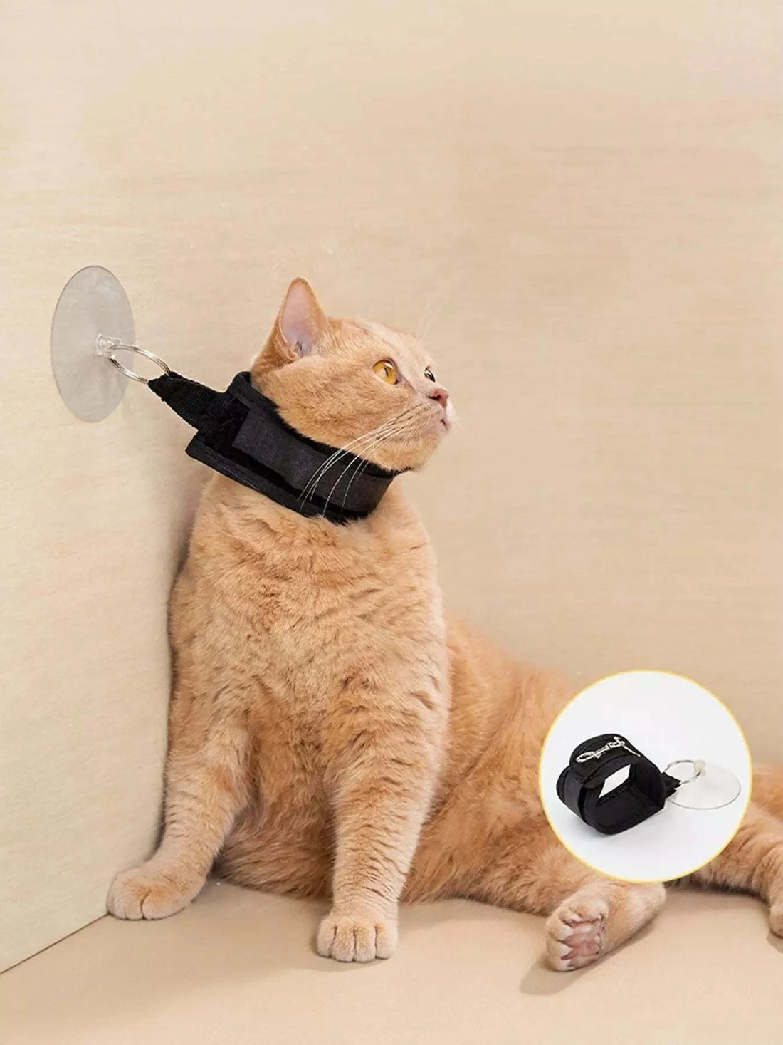 Breakaway cat collar with suction cup leash for cat safety