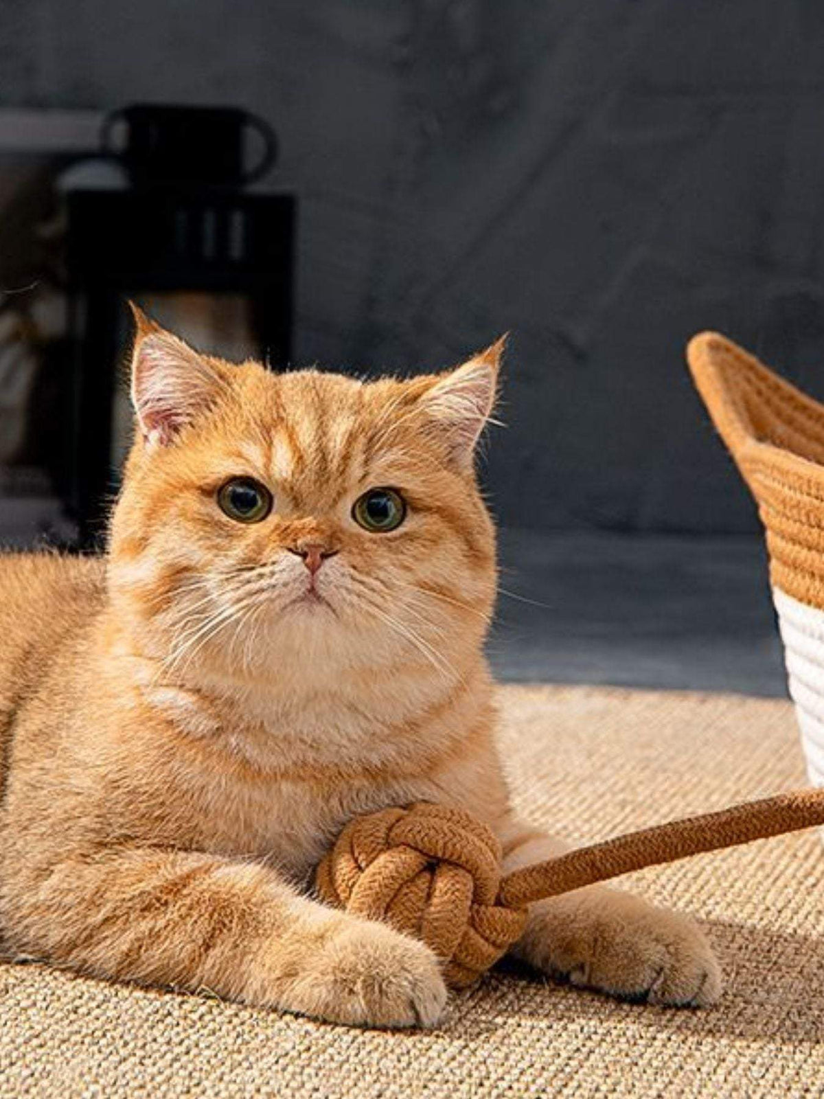 Handwoven cat ear woven pet nest cozy bed