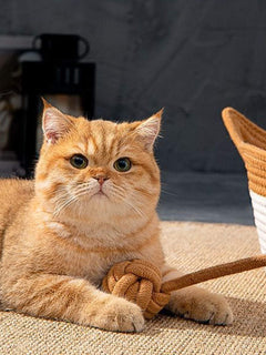 Handwoven cat ear woven pet nest cozy bed