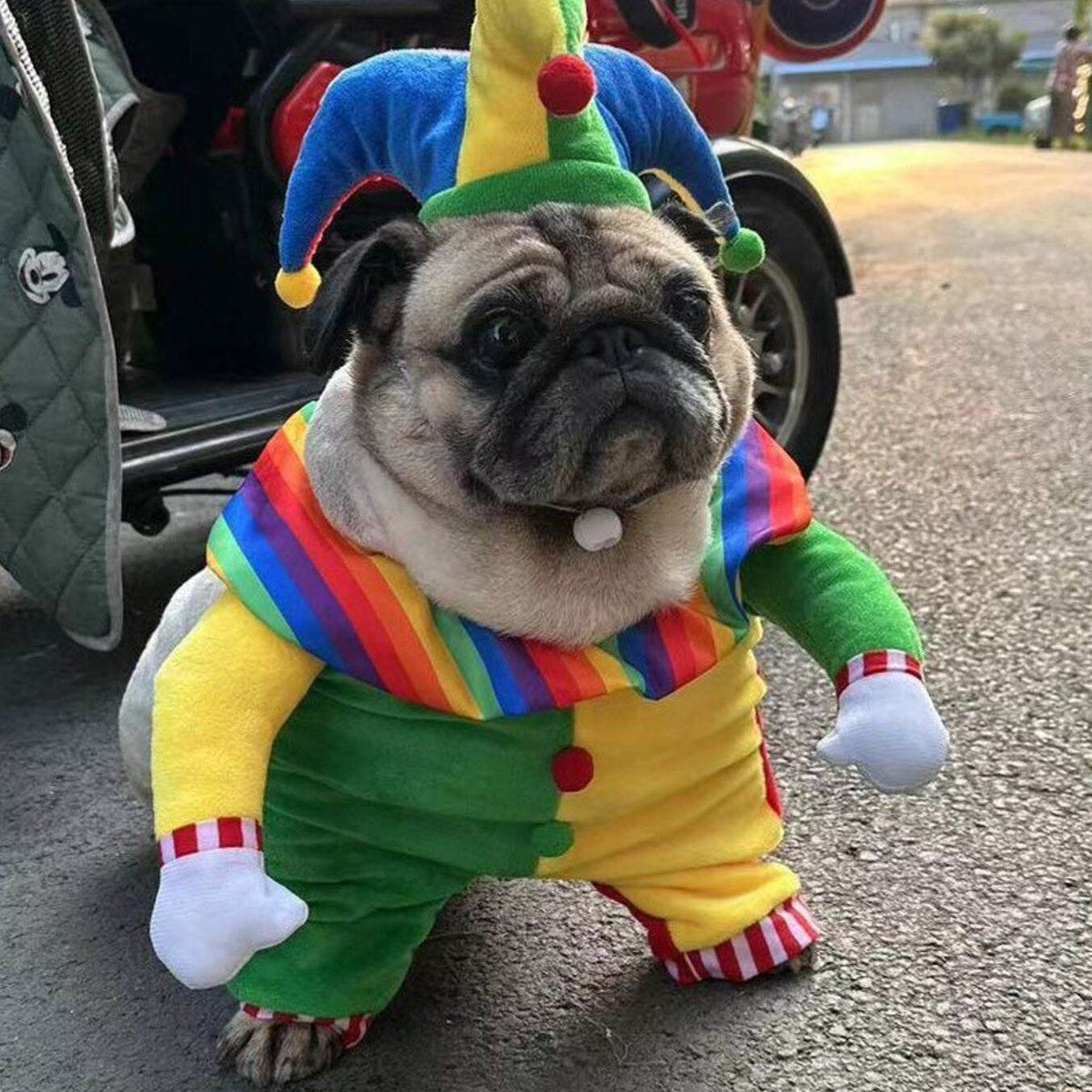 Colorful clown pet jumpsuit with matching hat playful costume Dog Clown Costume