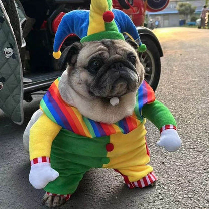 Colorful clown pet jumpsuit with matching hat playful costume Dog Clown Costume