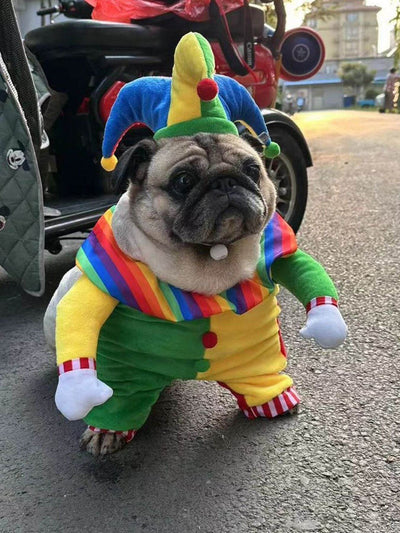Colorful clown pet jumpsuit with matching hat playful costume