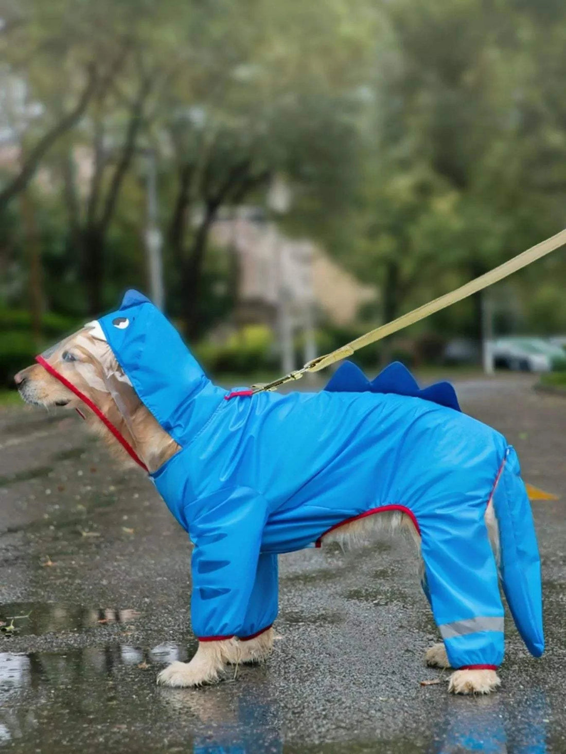large dog wearing dinosaur waterproof raincoat with hood