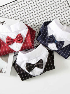Small dog wearing striped bow tie blazer formal pet outfit