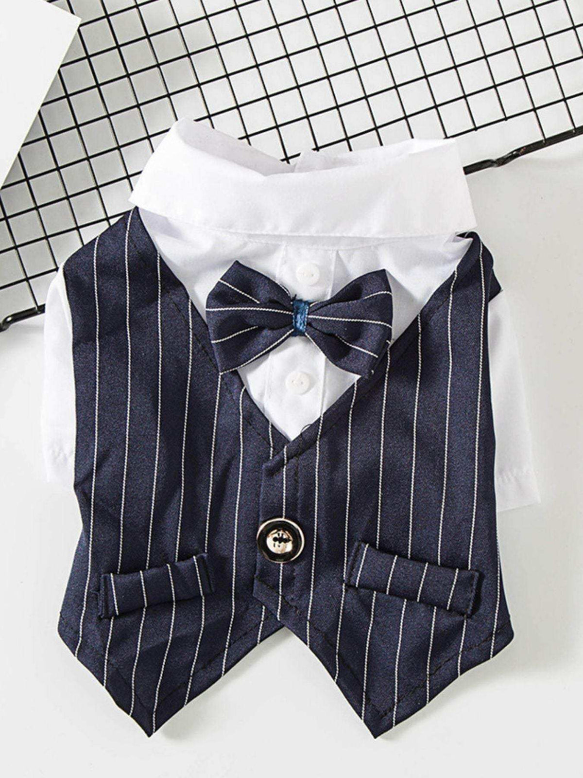 Small dog wearing striped bow tie blazer formal pet outfit