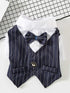 Small dog wearing striped bow tie blazer formal pet outfit