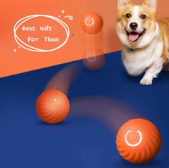 Rubber Ball Toy for Dogs – Durable Fetch & Chew