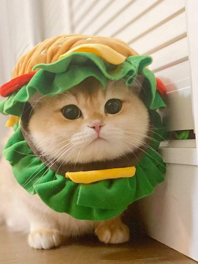 Hamburger style pet headwear silly costume for photos