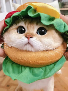 pet wearing hamburger style pet headwear costume
