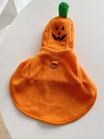 Pet wearing cozy hooded costume coat outdoors