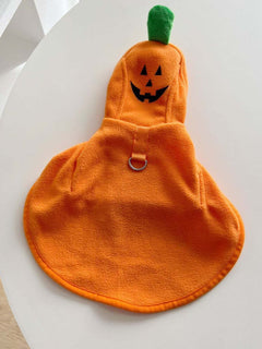 Pet wearing cozy hooded costume coat outdoors