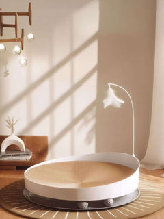 compact interactive round cat scratching board for small spaces