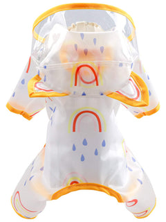 pet wearing lightweight waterproof raincoat on rainy walk