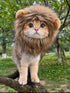 Adjustable lion mane pet headwear costume accessory