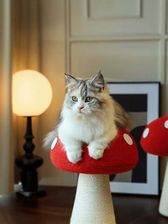 mushroom-shaped cat scratching post for small corners