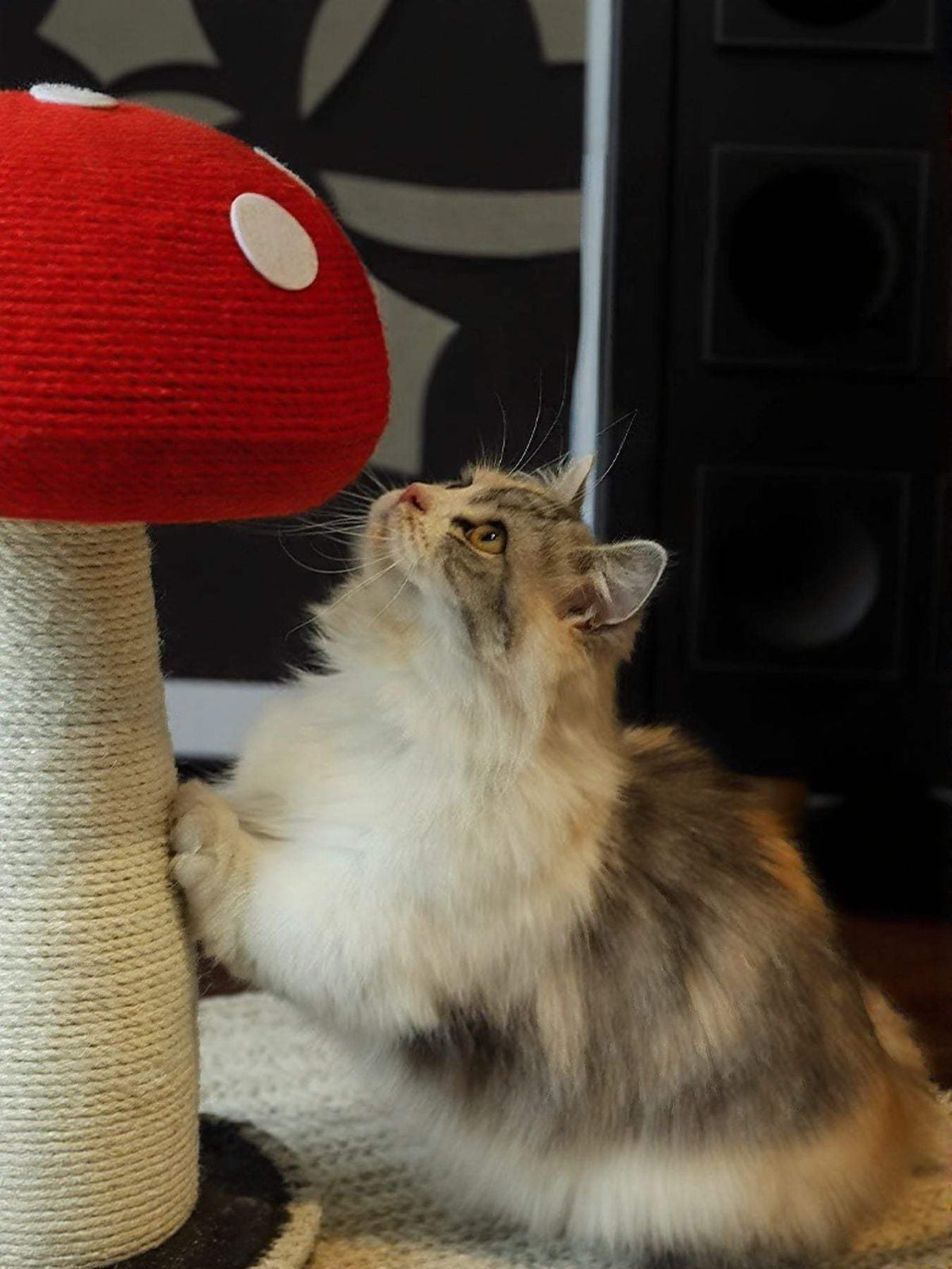 mushroom-shaped cat scratching post in a small corner