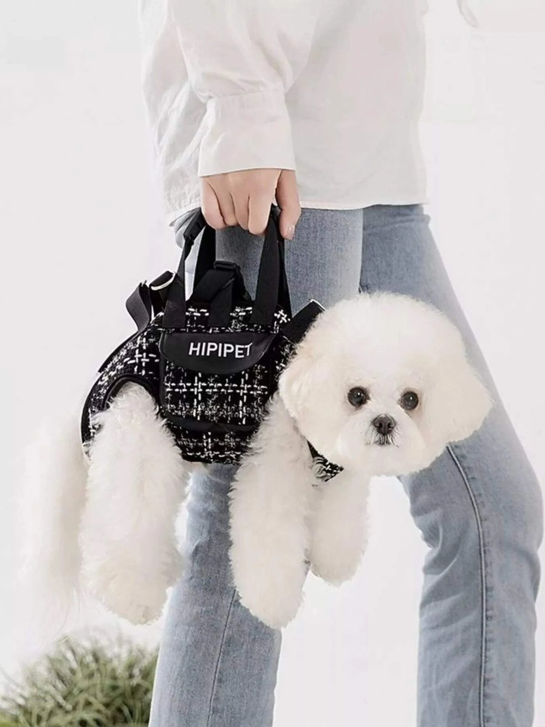 Plaid pet harness and leash set for comfortable walks