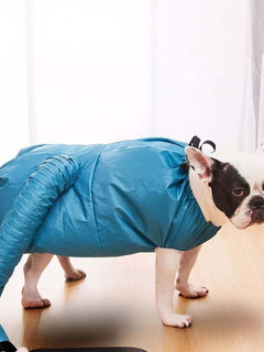 portable pet quick dry bag for fast drying of dogs and cats