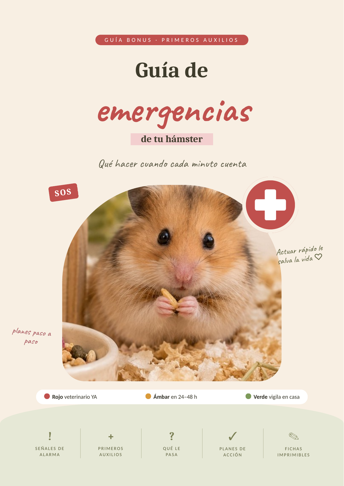 Guía de emergencias del hámster: primeros auxilios y planes de acción (PDF)