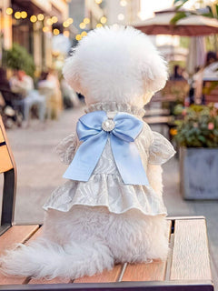 ruffled pet dress with bow for special occasions