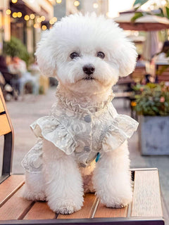 Ruffled pet dress with bow for special occasions